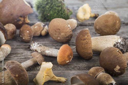 Foto Raw mushrooms on a wooden table. Boletus edulis and chanterelles
