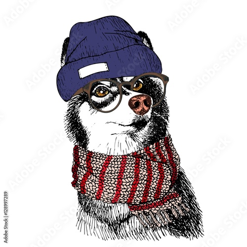 Vector hand drawn portrait of cozy winter dog. Siberian husky wearing knitted scarf, beanine andhipster glasses. Winter cozy seasonal print. Sketched poster. Use for flyer, poster, clothing prints.