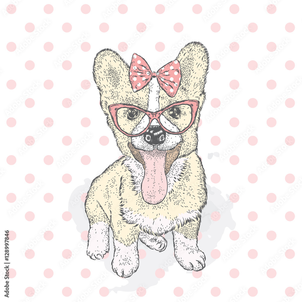 Cute puppy wearing glasses and a bow. Vector illustration. Welsh-Corgi-Pembroke. Cute puppy wearing glasses and a bow. Vector illustration. Welsh-Corgi-Pembroke.