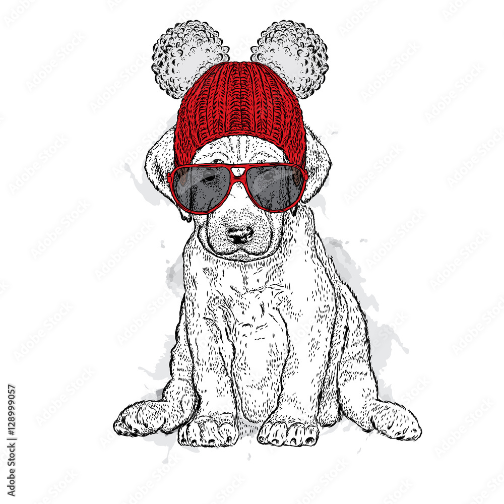 Cute puppy wearing a hat and glasses. Illustration for a card or print ...