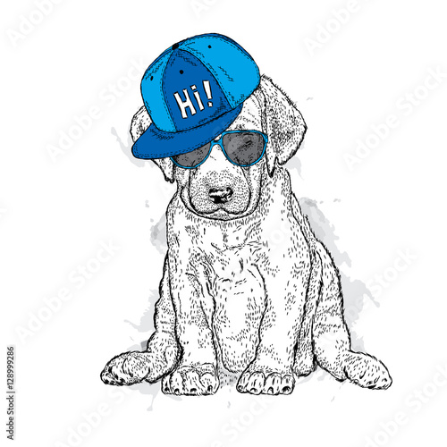 Cute puppy wearing a cap and glasses. Illustration for a card or print on clothes. Poster. Vector drawing