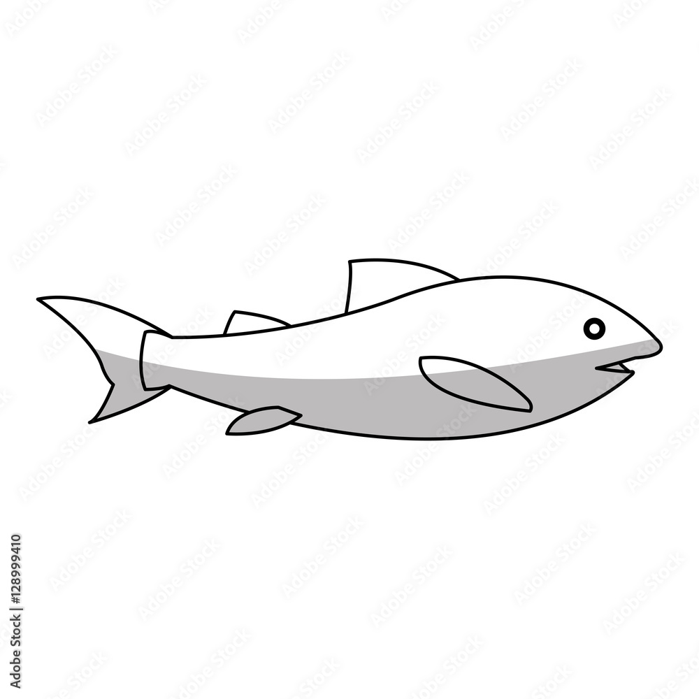 Fototapeta premium Fish icon. Sea life ecosystem fauna and ocean theme. Isolated design. Vector illustration