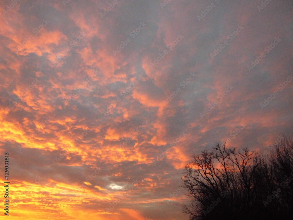 Fototapeta premium Beautiful sunset. Violet sky.