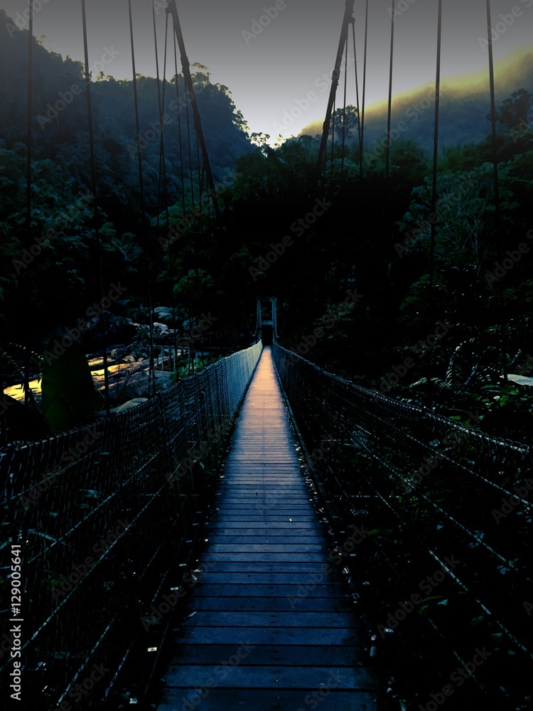 Obraz premium Alone bridge