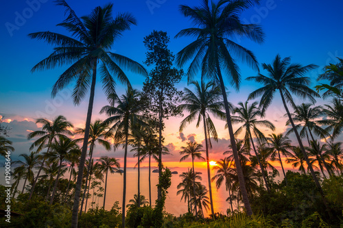 THAILAND, February - 20, 2014. Sunset on the background of the sea and tropical palms © Timelapse4K
