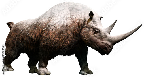 Tableau sur toile Woolly rhinoceros from the Pleistocene era 3D illustration