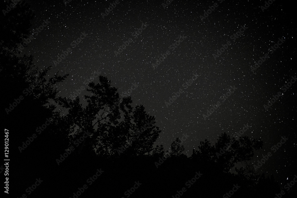 Naklejka premium Night sky