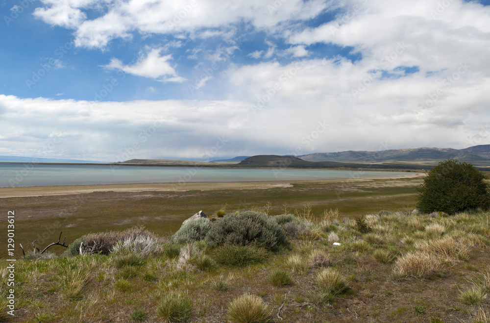 Argentina, 23/11/2010: la vegetazione tipica della Patagonia e l'acqua azzurra del Lago Argentino, il più grande lago d'acqua dolce dello Stato nel Parco Nazionale Los Glaciares