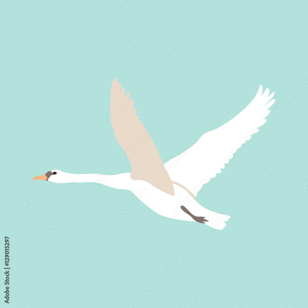 Fototapeta premium swan fly vector illustration style Flat