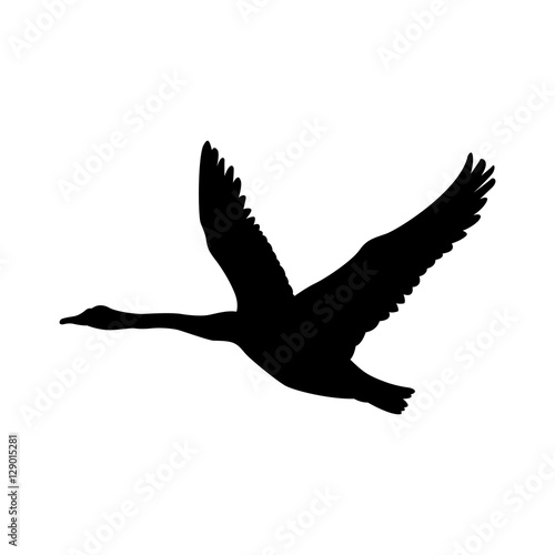 swan fly vector illustration  black silhouette