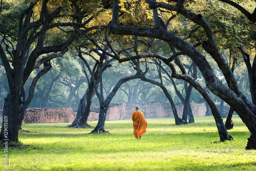 Photography monastic buddhism decoration walk in green park - tourist travel statue wat cult