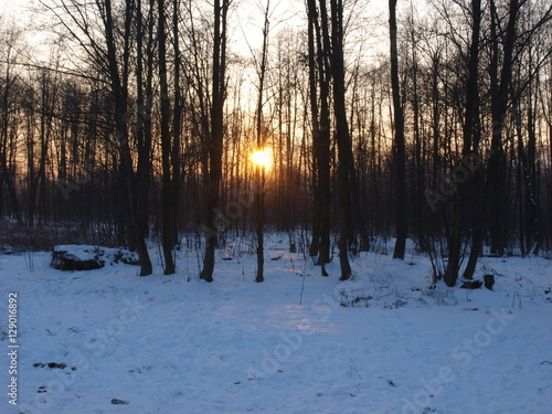 Zima.  Winter 