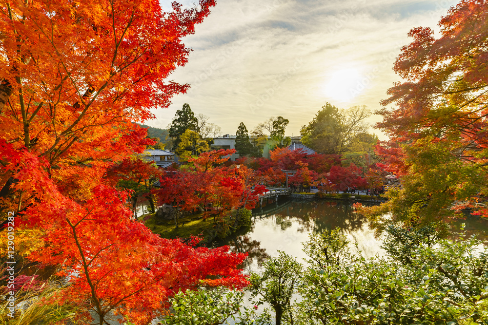 京都　永観堂の紅葉と夕陽