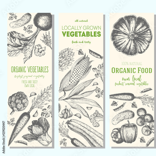 Set of banners with hand-drawn vegetables. Vector illustration for vegetables market. Vertical banner collection. Vintage elements for design.