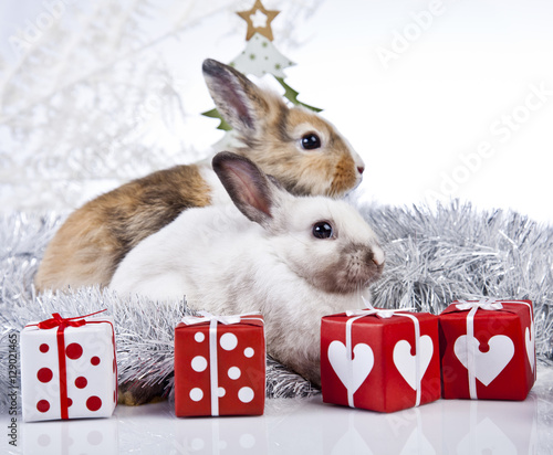 christmas rabbit with a christmas tree and present