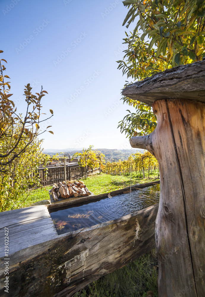 Wooden fountain with fresh clear water in garten with vineyards Wooden fountain with fresh clear water in garten with vineyards