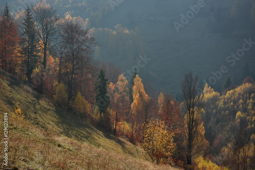 Evening sunset on mountain hills of Simon village. Bran.