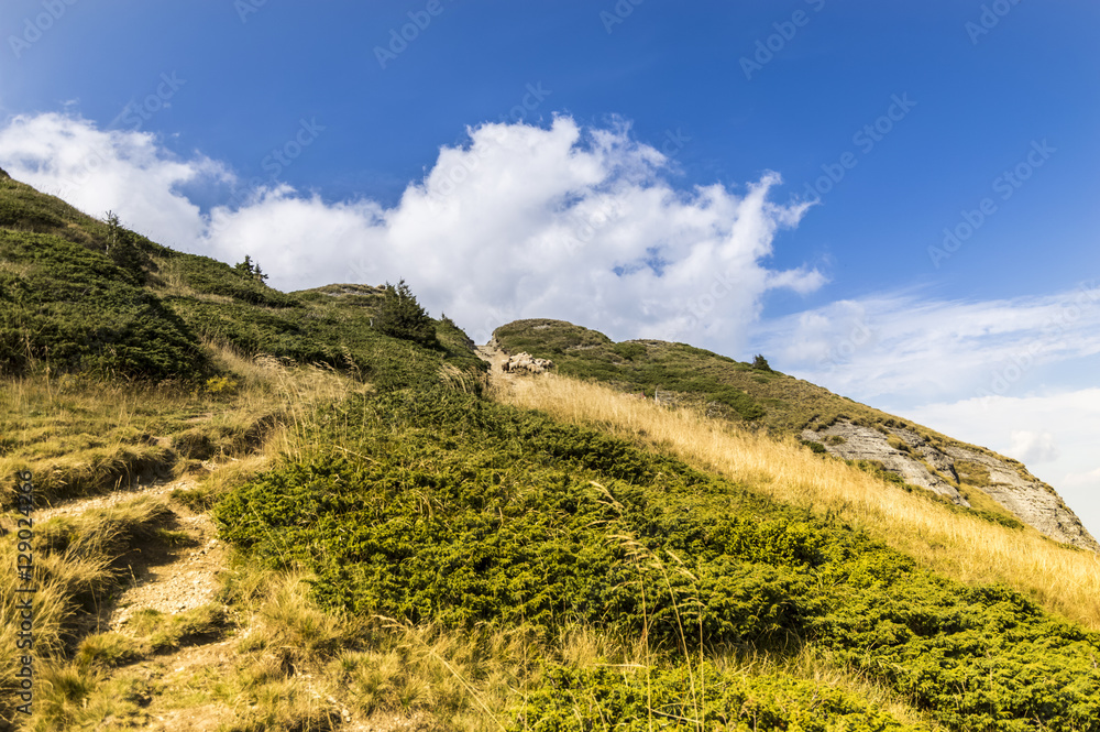 Mountain Landscape Mountain Landscape
