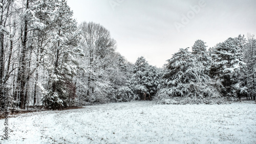 Winter scene of snow on a field and trees