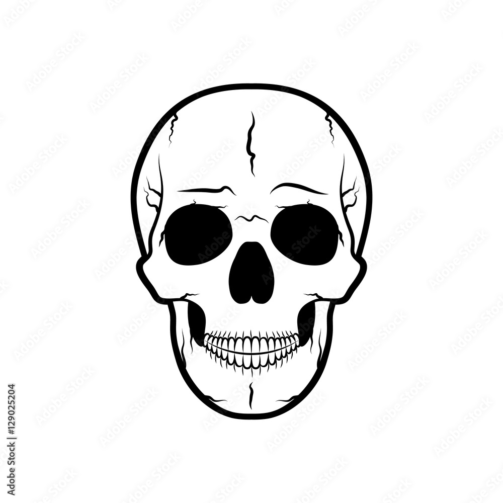 Human skull. Vector illustration.