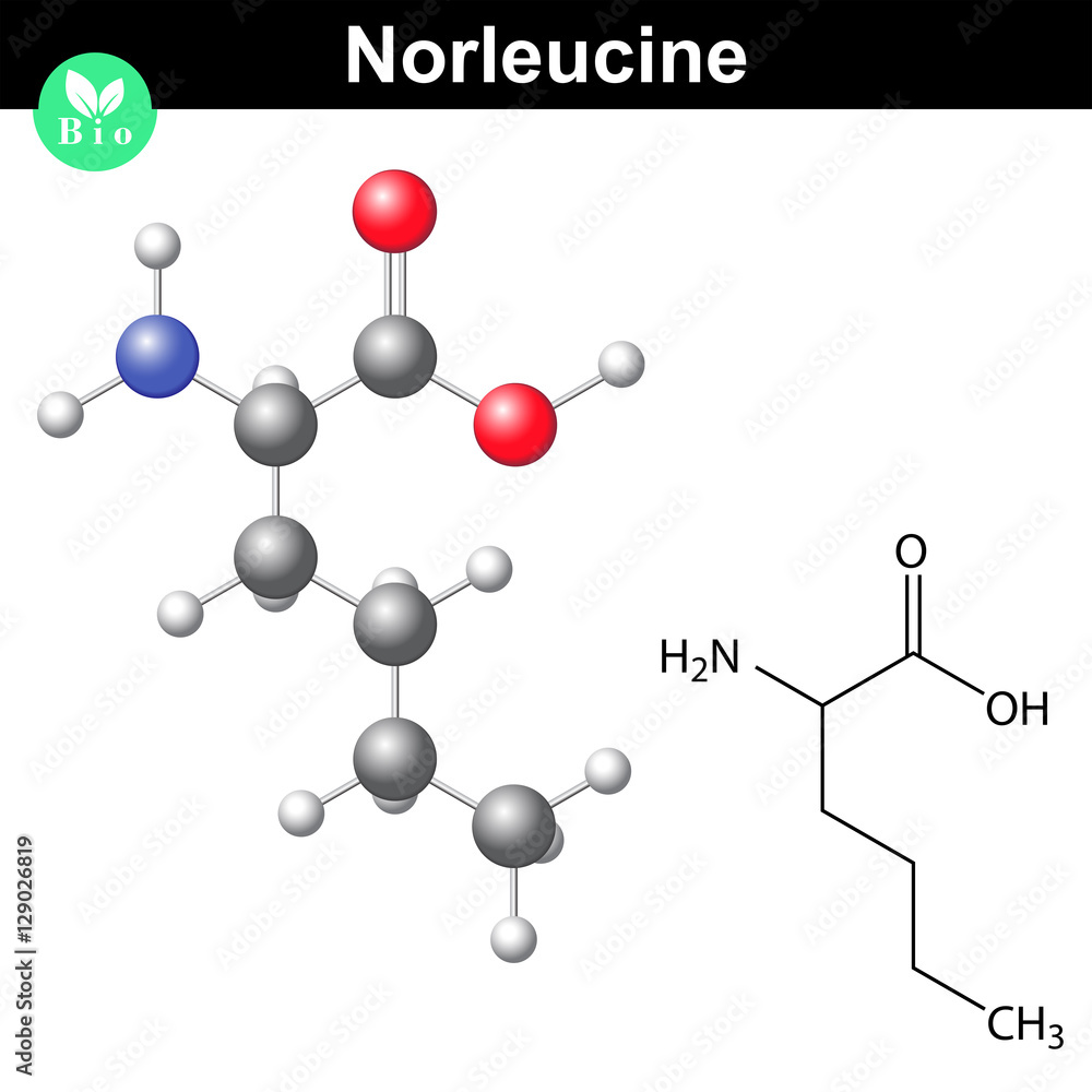 Norleucine amino acid formula Norleucine amino acid formula