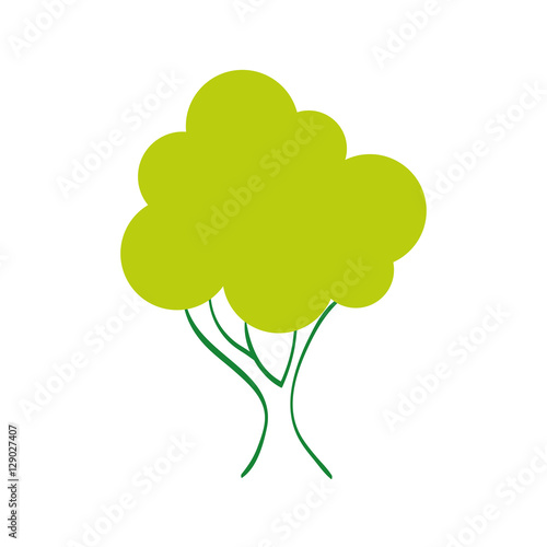 Tree natural ecology icon vector illustration graphic design