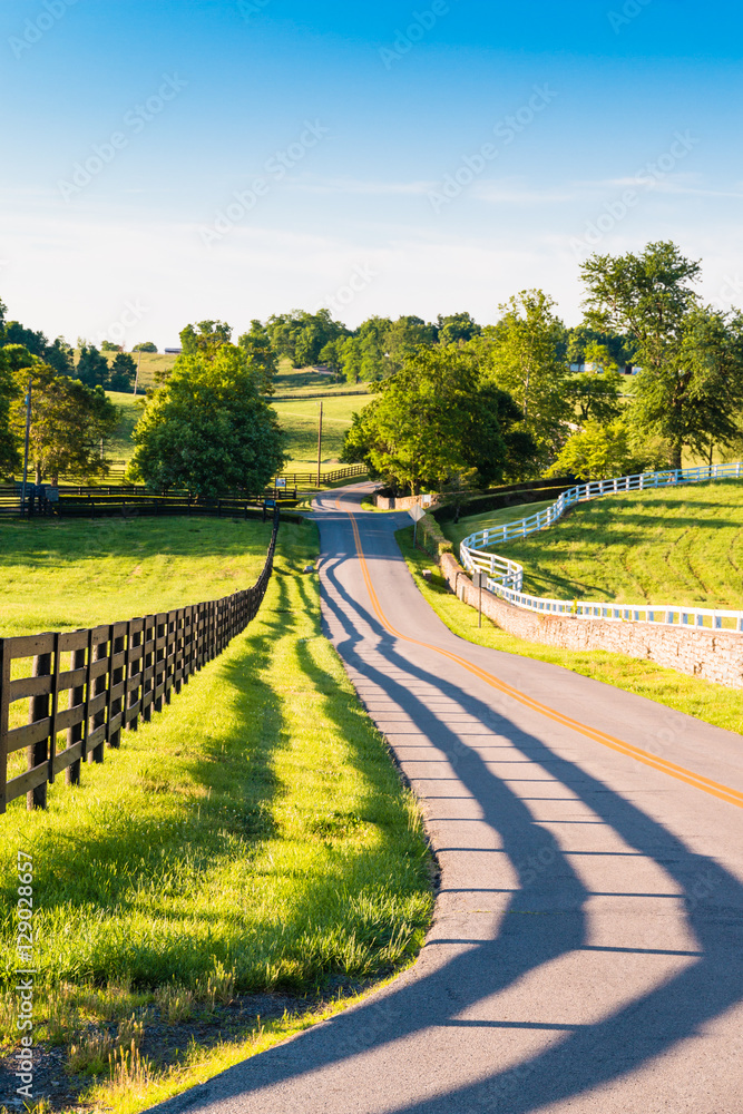 Fototapeta premium Countryside