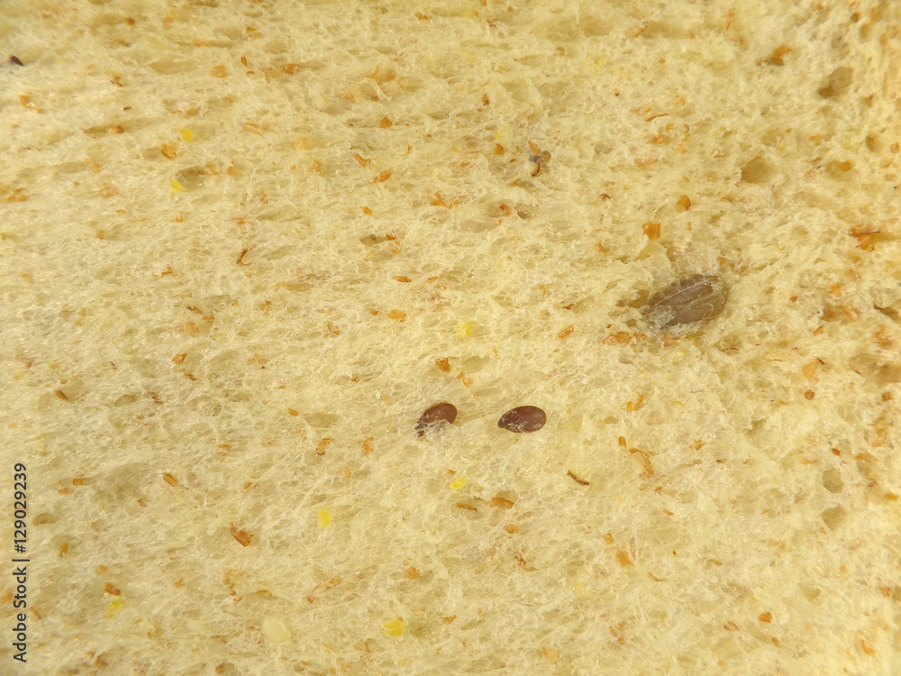 Close-up of Texture of Light Brown Whole Grains Bread