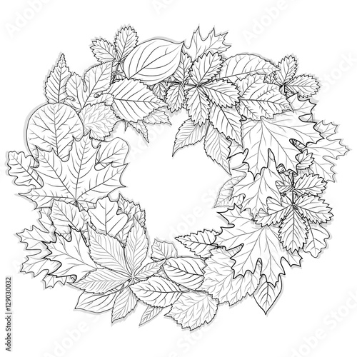 Leaves set for coloring page vector