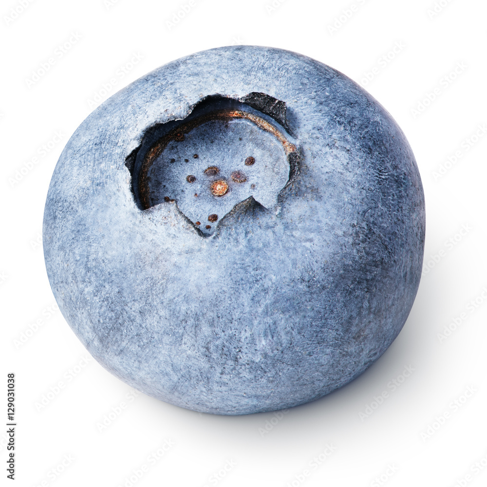 Single blueberry berry isolated on white background with clipping path Single blueberry berry isolated on white background with clipping path