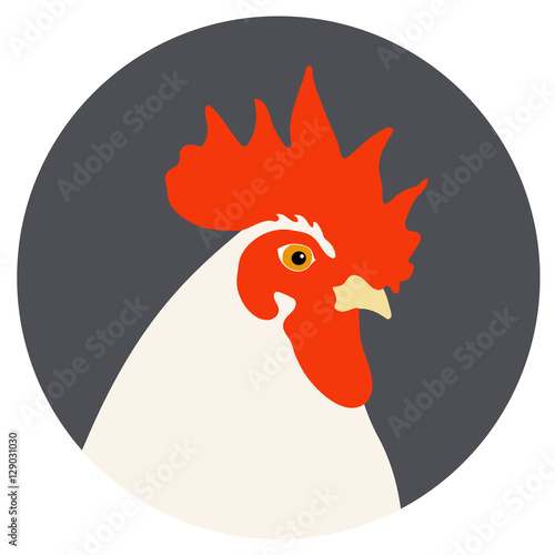 2017 year of Rooster and cock. Flat design style vector illustrations