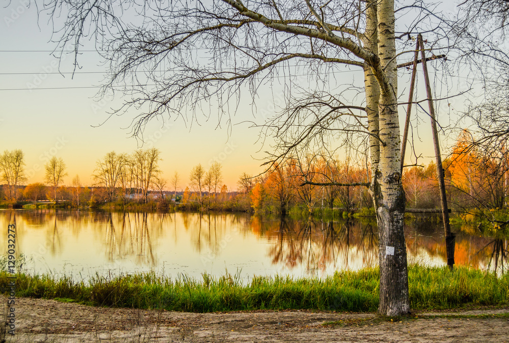 autumn natural landscae with lake birch trees at the sunset autumn natural landscae with lake birch trees at the sunset