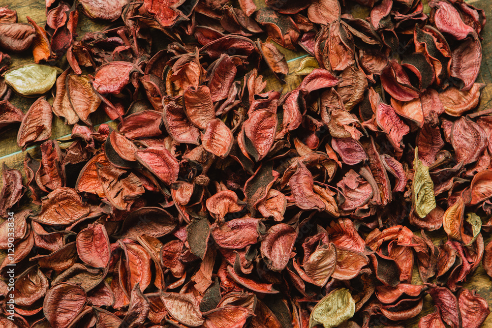 Dry red petals for wallpaper