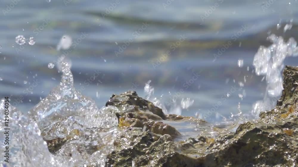 SLOW MOTION, CLOSE UP: Rippling sea hitting hard into sharp rocky reef overgrown with beautiful brown algae. Ocean waves swashing dangerous but stunning edged coral cliff on amazing sunny summer day SLOW MOTION, CLOSE UP: Rippling sea hitting hard into sharp rocky reef overgrown with beautiful brown algae. Ocean waves swashing dangerous but stunning edged coral cliff on amazing sunny summer day