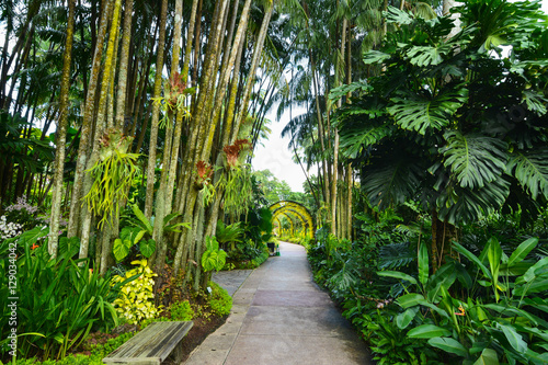 Photography A path shrouded by nature in the Singapore National Orchid Garde