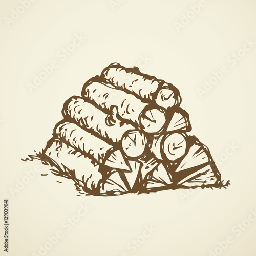 Firewood. Vector drawing