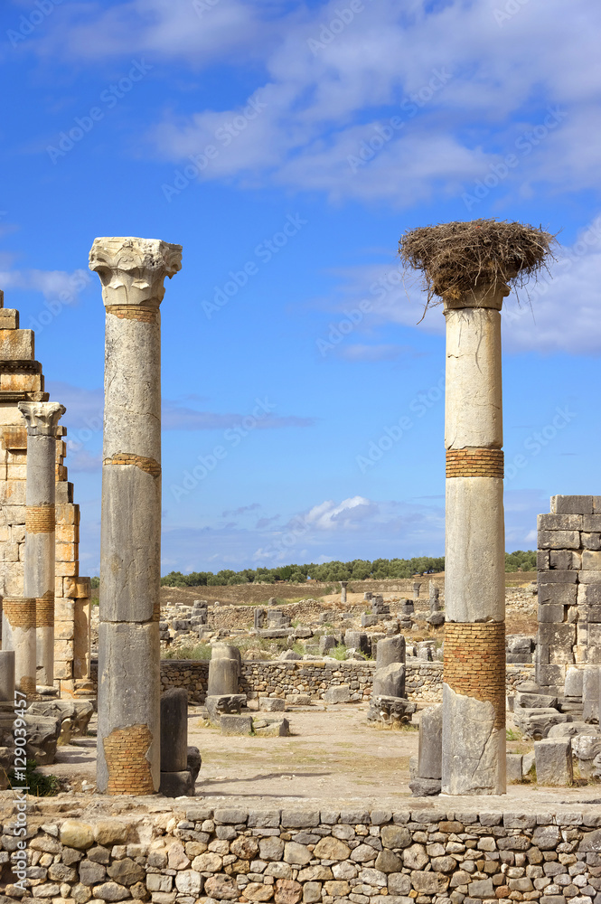 Roman Empire ruins of Volubilis, Morocco, Africa