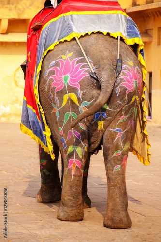 Painted rear of an elephant walking in Jaleb Chowk (main courtya photo