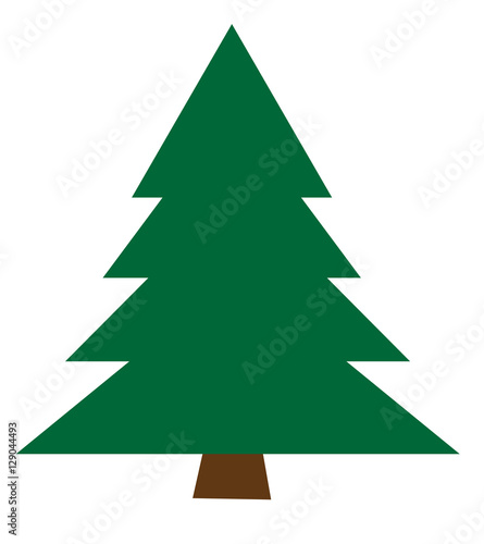 Fir Tree