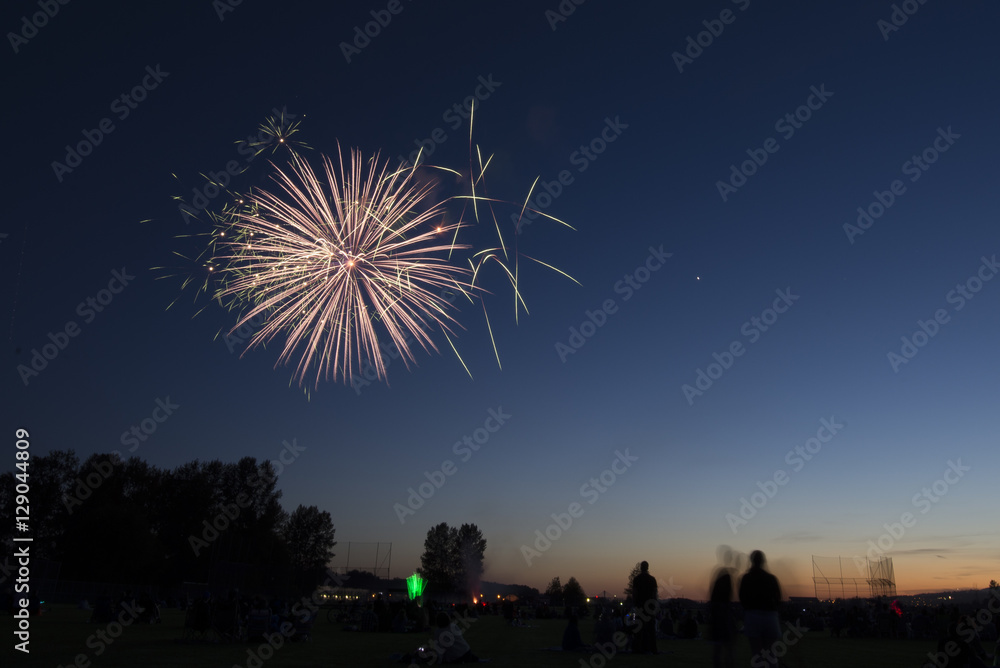 Fireworks at Dusk