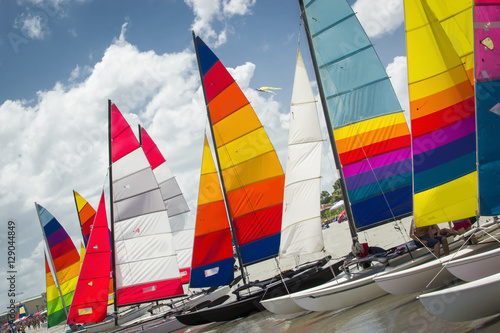 Catamaran Boats