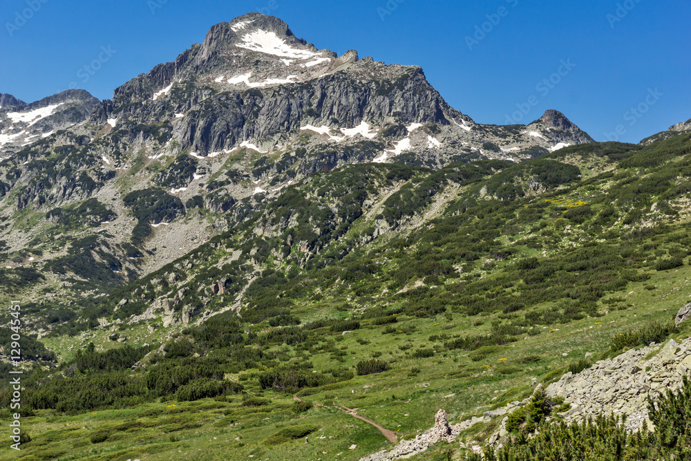 Amazing Landscape with Dzhangal peak in Pirin Mountain, Bulgaria