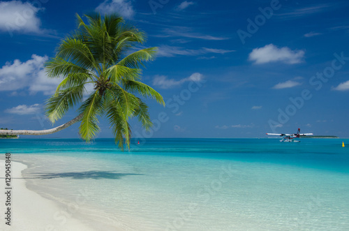 Maldives White Sand Beach   Turquoise Waters 