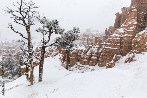 Heavy Falling Snow inside B...