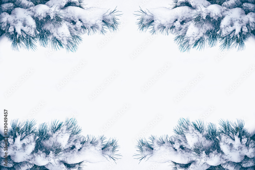 Obraz premium forest in the frost. Winter landscape. Snow covered trees.