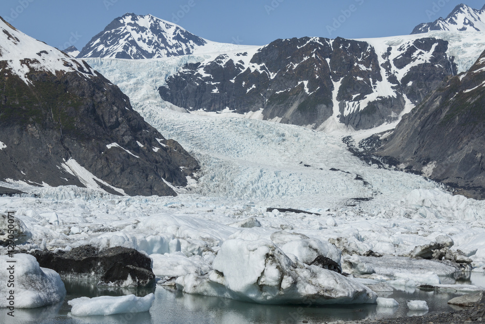 Pedersen Glacier in Kenai Fjords National Park, Alaska.