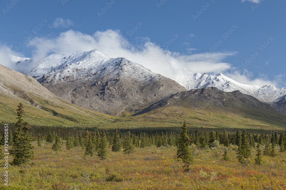 Fototapeta premium Termination dust on the Alaska Range, Denali National Park, Alas
