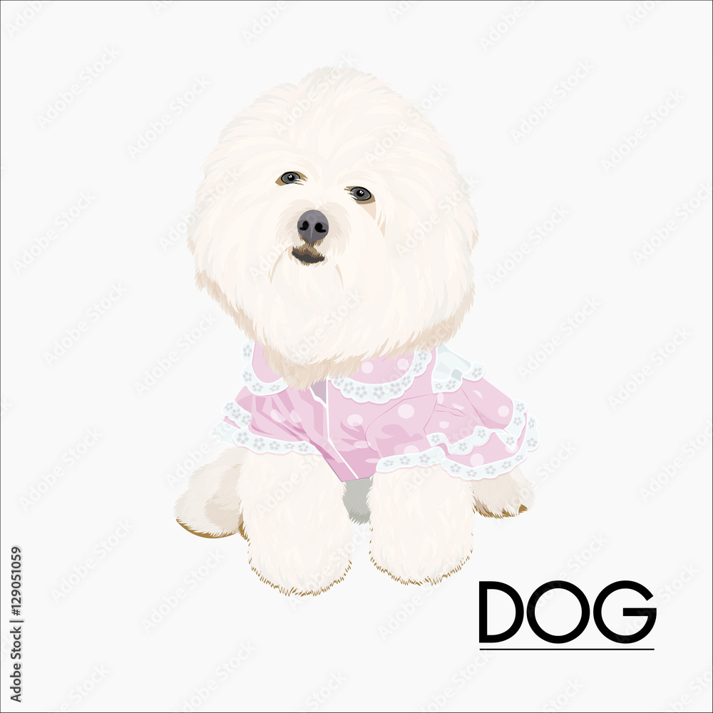 dog dog