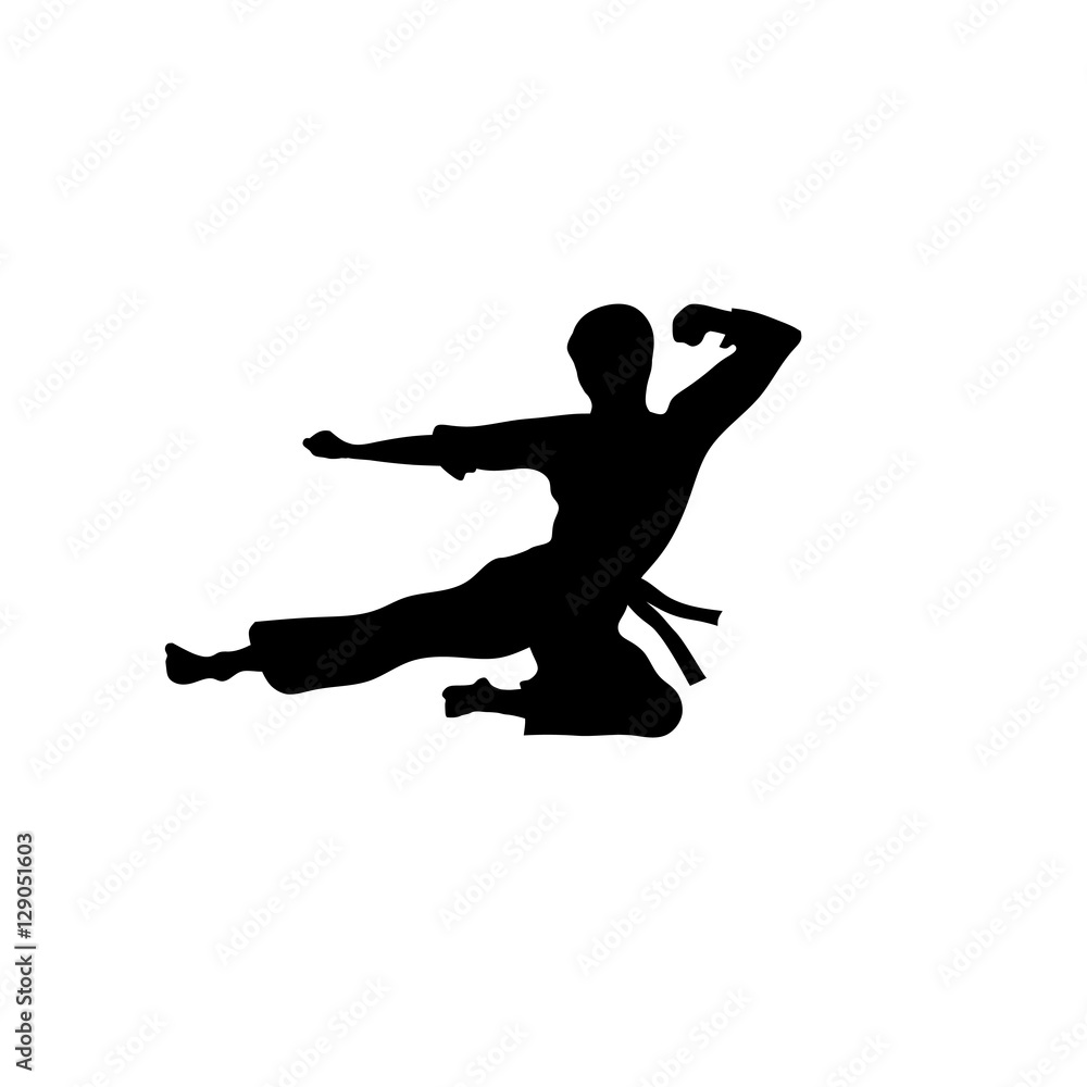 Karate sport vector ,martial art silhouette vector, fight sport vector
