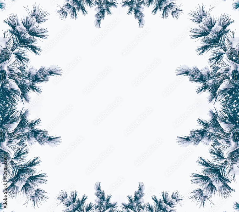 forest in the frost. Winter landscape. Snow covered trees. forest in the frost. Winter landscape. Snow covered trees.